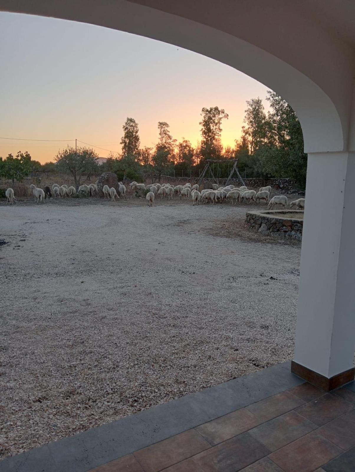 Agriturismo Sa Murta Dorgali Luaran gambar