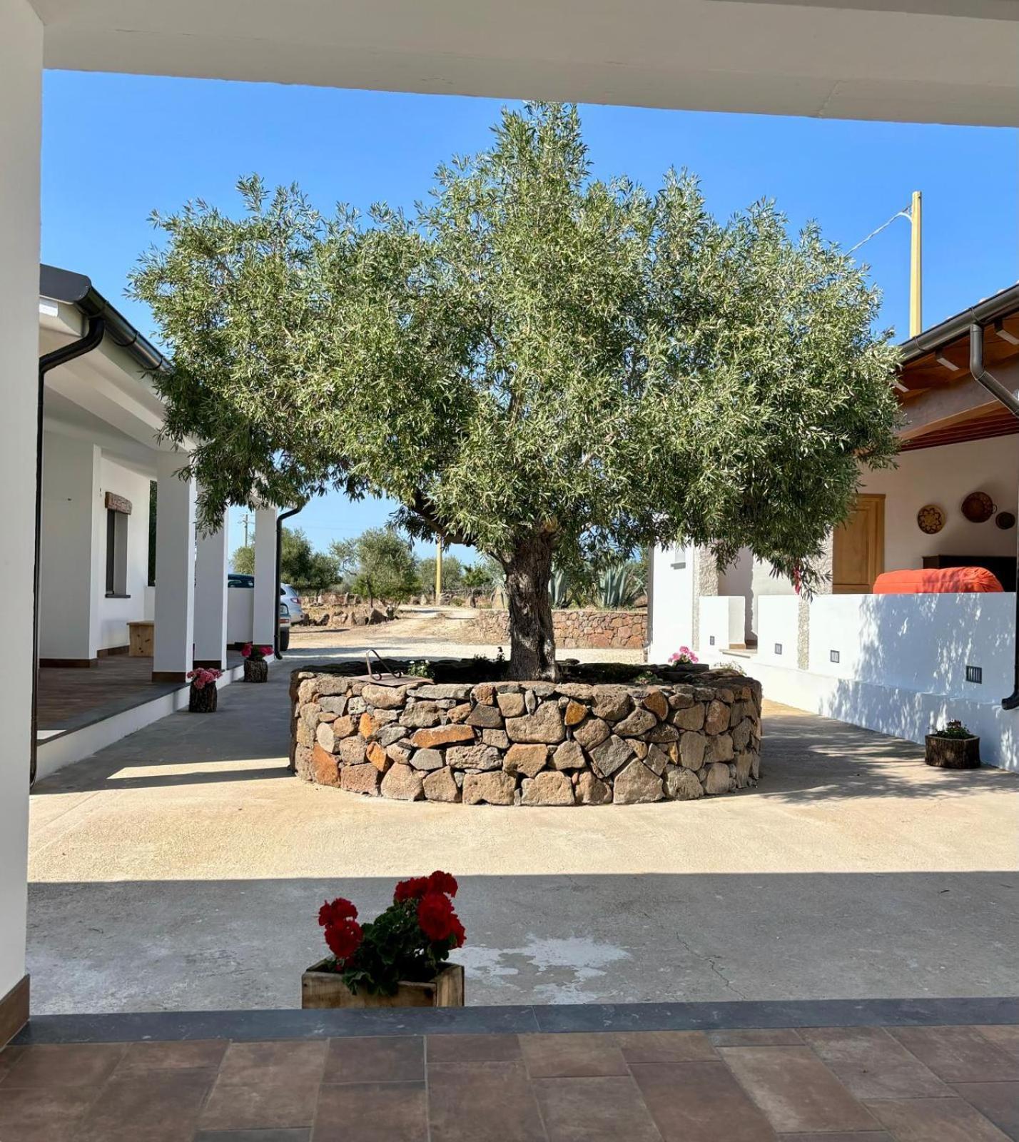 Agriturismo Sa Murta Dorgali Luaran gambar