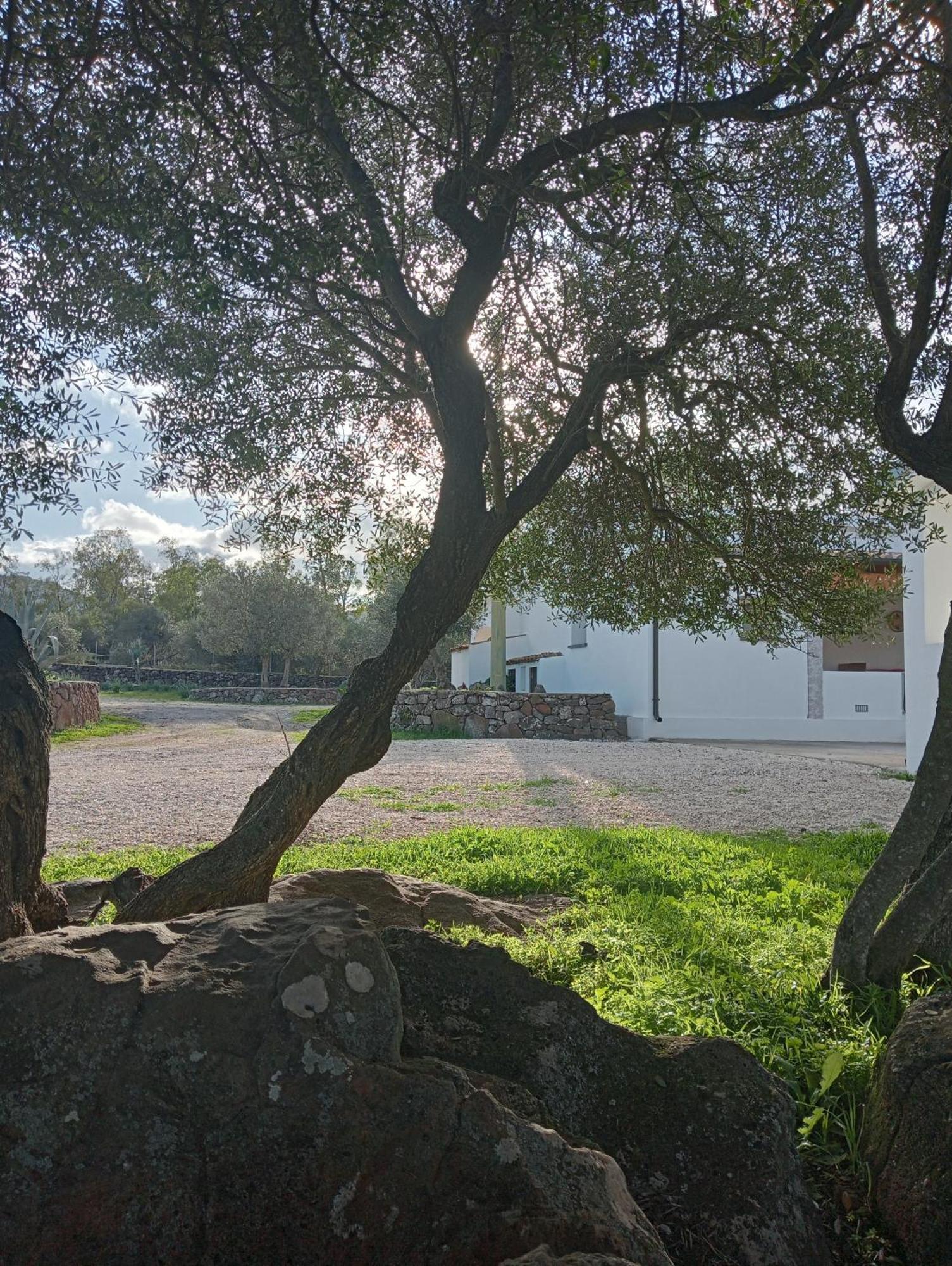 Agriturismo Sa Murta Dorgali Luaran gambar
